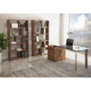 swan desk