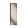 swan mirror
