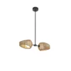Lanai 2-Light Pendant