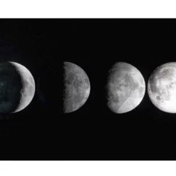 Moon Phases Wall Art
