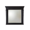 conifer mirror