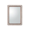 vigor mirror