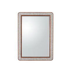 vigor mirror