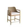 Chaya Counter Stool