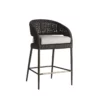 Taya Counter Stool