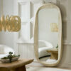 aloe mirror