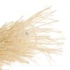 CHWS, FUR, Food, Noodle, Pasta, Vermicelli