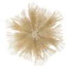 CHWS, FUR, Accessories, Plant