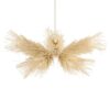 augustin chandelier