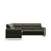 fiona sectional