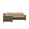 flora sectional