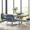 frozen dining chair