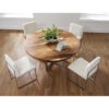 frozen dining chair
