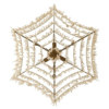 harlyn chandelier