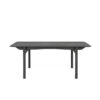 joni dining table