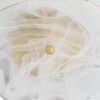 aurela wall sconce