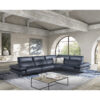 mira sectional