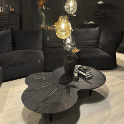 coupe coffee table