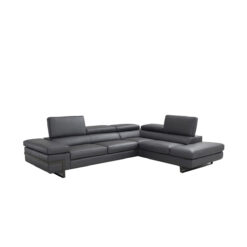 giana sectional