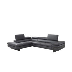 giana sectional