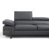 giana sectional