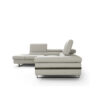 giana sectional