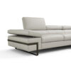 giana sectional