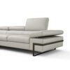 giana sectional