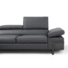 giana sectional
