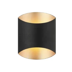 Comely Wall Sconce