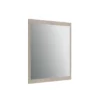 Ellen Mirror