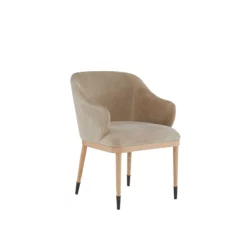 Aster Dining Chair In Fabric