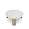 Palorin Coffee Table - Image 3