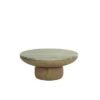 Orula Coffee Table - Image 8
