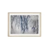 Afflora No. 1 Wall Art