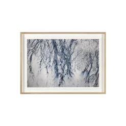 Afflora No. 1 Wall Art