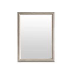 Lucerne Mirror