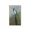 Pavonelle Wall Art