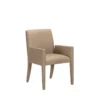 Brume Arm Dining Chair