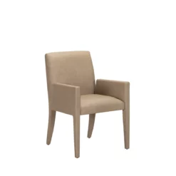 Brume Arm Dining Chair