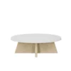 Dockside Coffee Table - Image 2