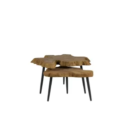 Alternative view of Driftwood Coffee Table (Set Of Two)