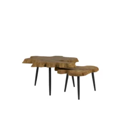 Driftwood Coffee Table (Set Of Two)
