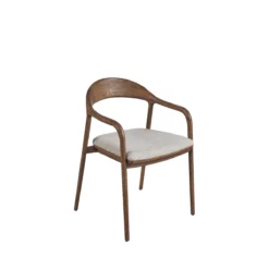 Echo Arm Dining Chair