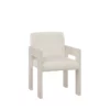 Mist Arm Dining Chair