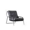 Antique Raven Black