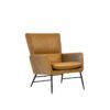 Morisson Accent Chair
