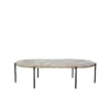 Velodrome Coffee Table