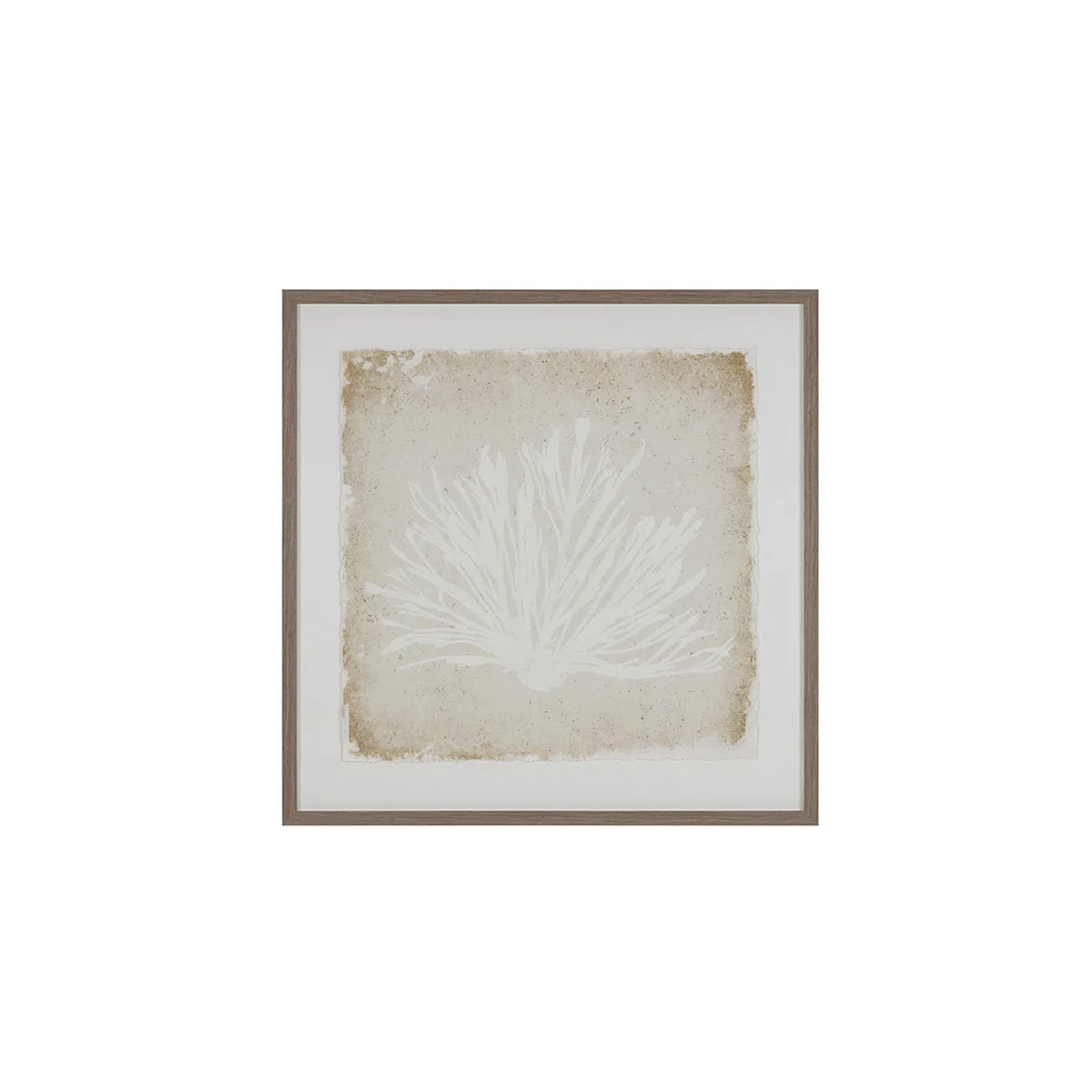 Aquatic Flora Wall Art