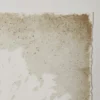 Aquatic Flora Wall Art - Image 4